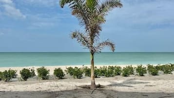 On the beach, sun loungers, beach towels
