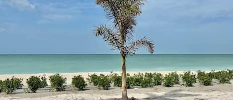 在海滩、沙滩椅、沙滩毛巾
