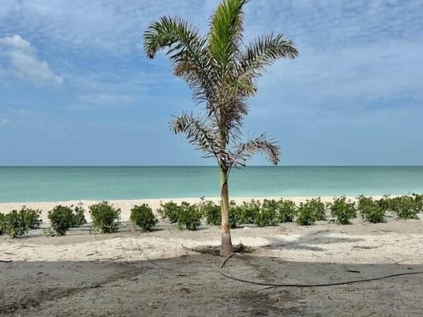 Plage, chaises longues, serviettes de plage