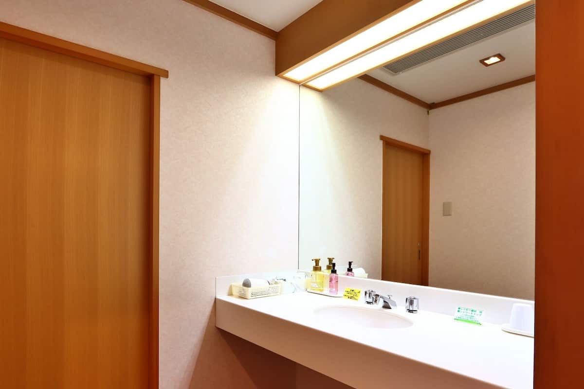 Baño | Amenidades de baño gratuitas, secadora de cabello, pantuflas