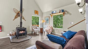 Smart TV, chimenea, reproductor de DVD y libros