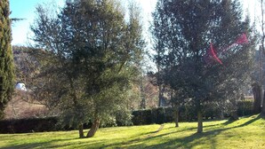 Unclassified image, 2 of 10, button - Beautiful Villa in Maremma (Farnese)