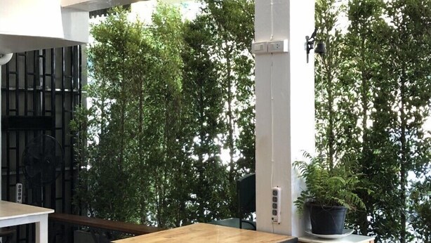 Un intérieur moderne avec une table et des chaises en bois, de grandes fenêtres et des plantes d’intérieur.