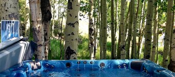 Gowdy Suite 1, King Bed, Hot Tub, Screened  Porch,  Free wifi.