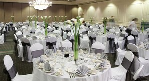 Meeting facility - Ambience Gwalior (Gwalior)