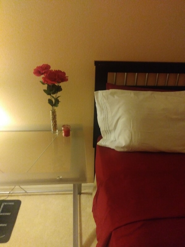 واي فاي مجانًا