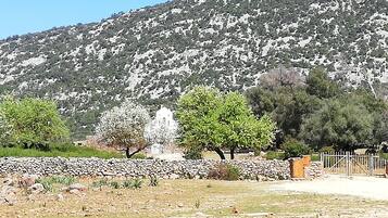 Overnatningsstedets område