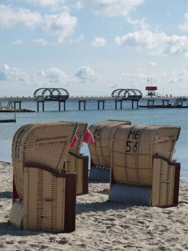 Strandläufer im Kirschgarten in Kellenhusen - Exklusive Ferienwohnung mit Sauna, 400m zum Strand