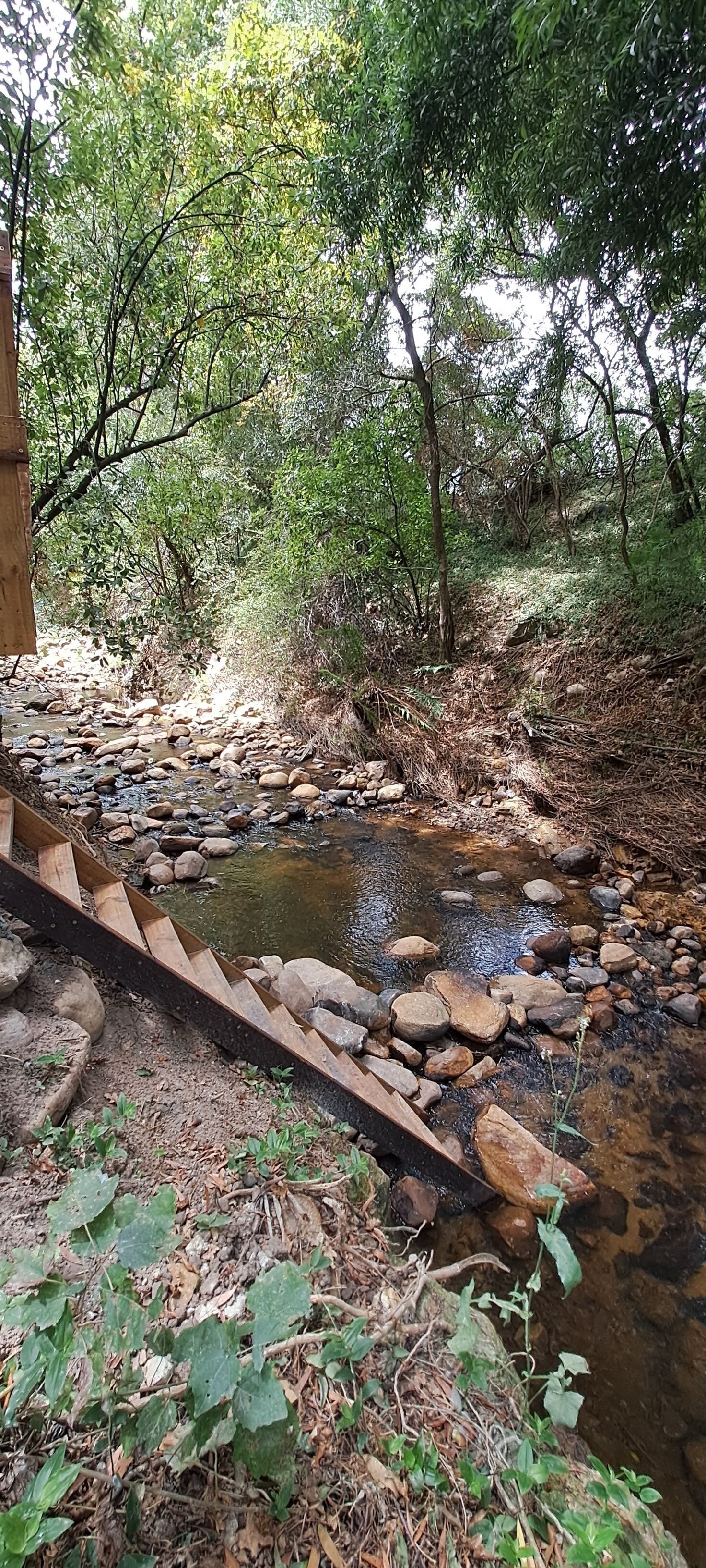Una escalera de madera que baja hacia un arroyo rodeado de abundante vegetación.