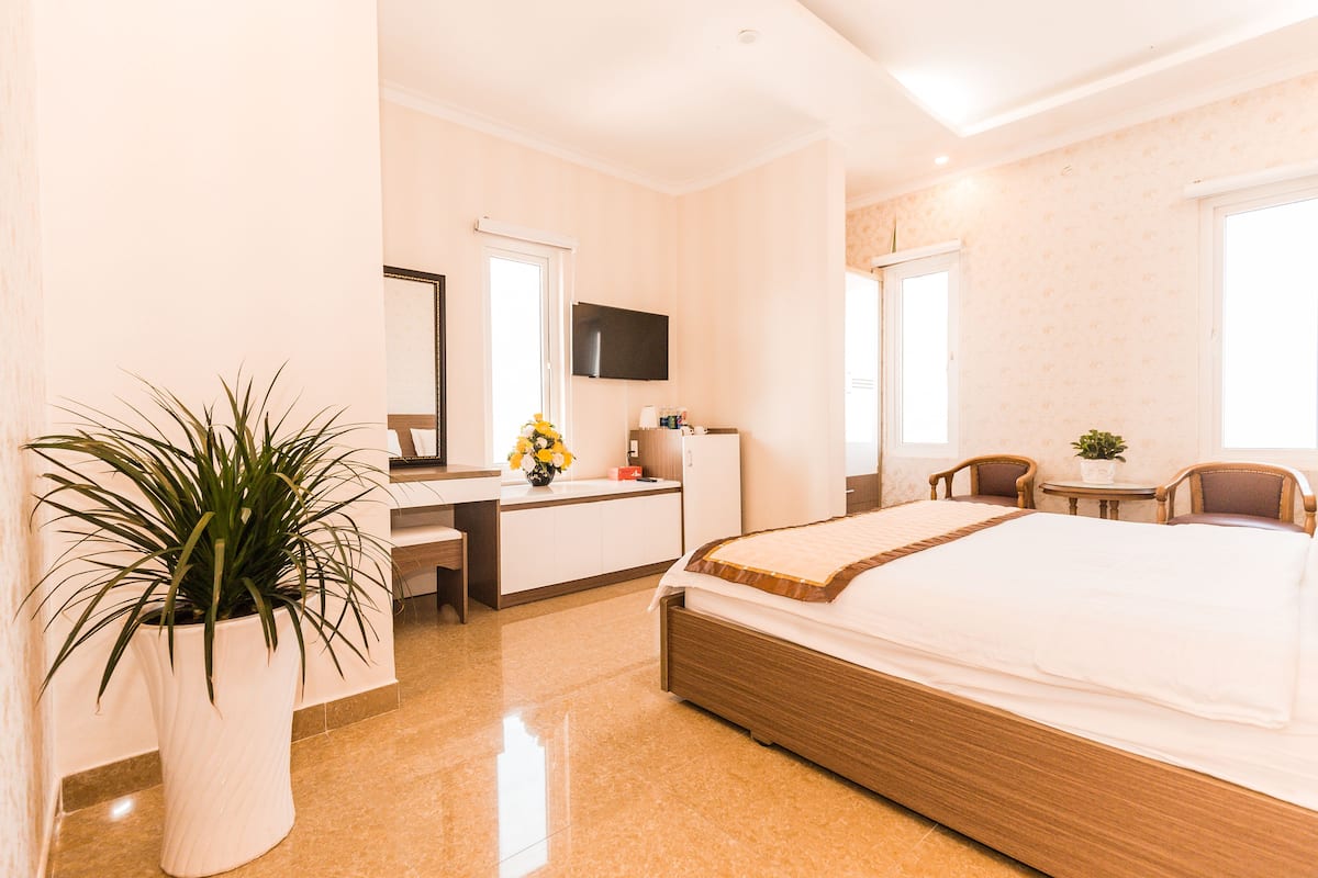 Habitación de hotel con cama, escritorio, silla, televisión y planta en maceta.