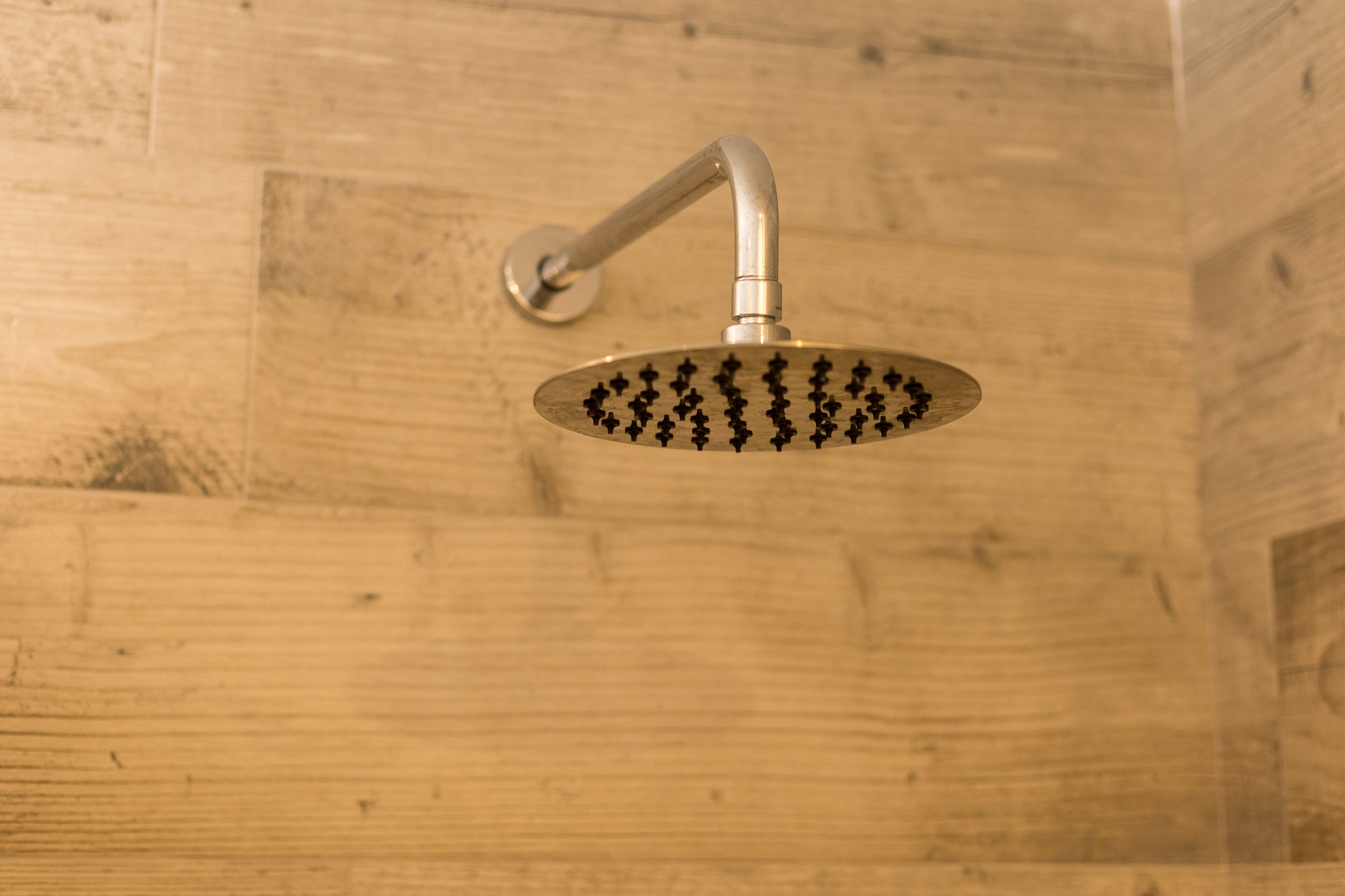 Foto - Pardela Menorca