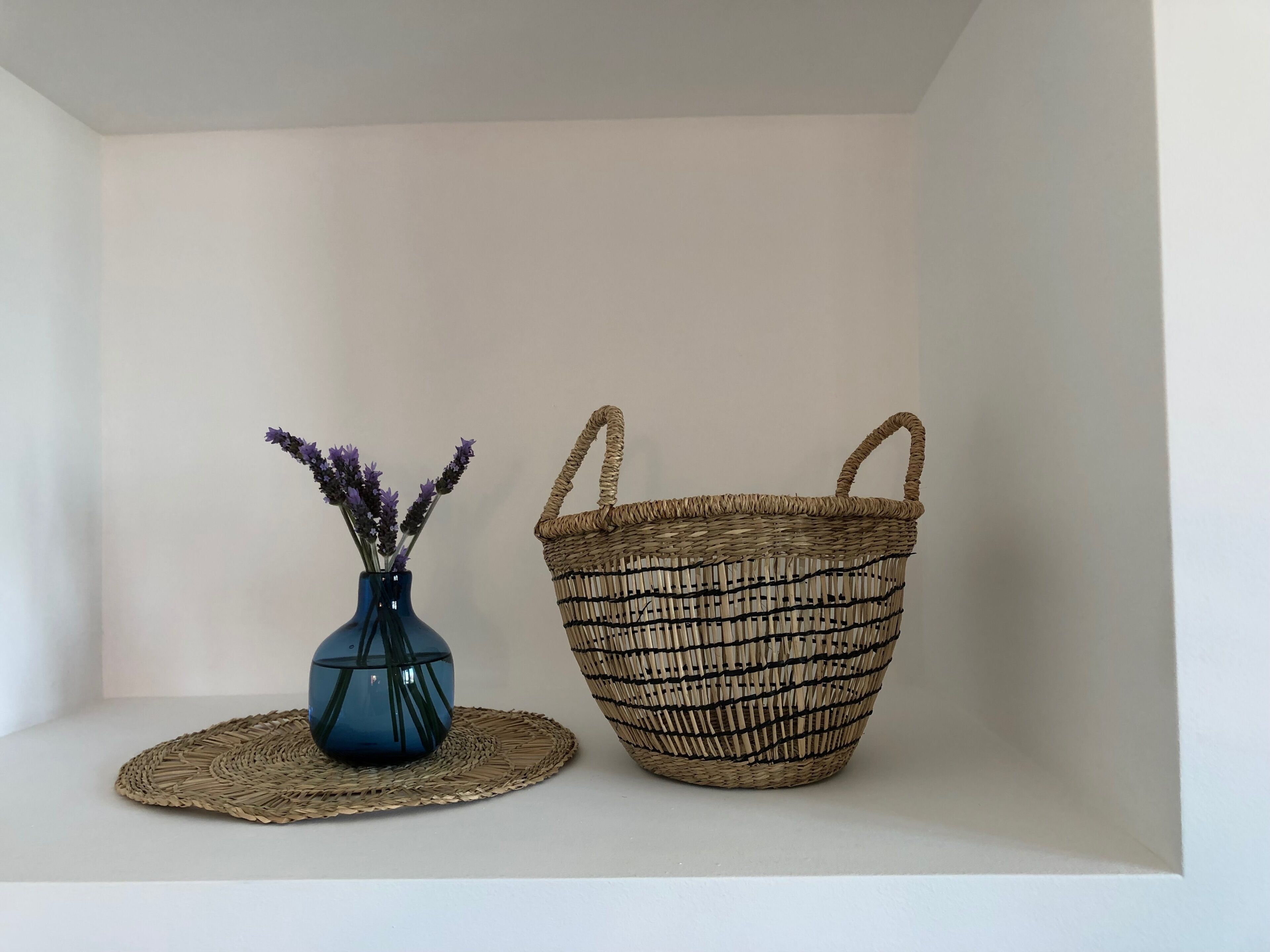 Foto - Pardela Menorca