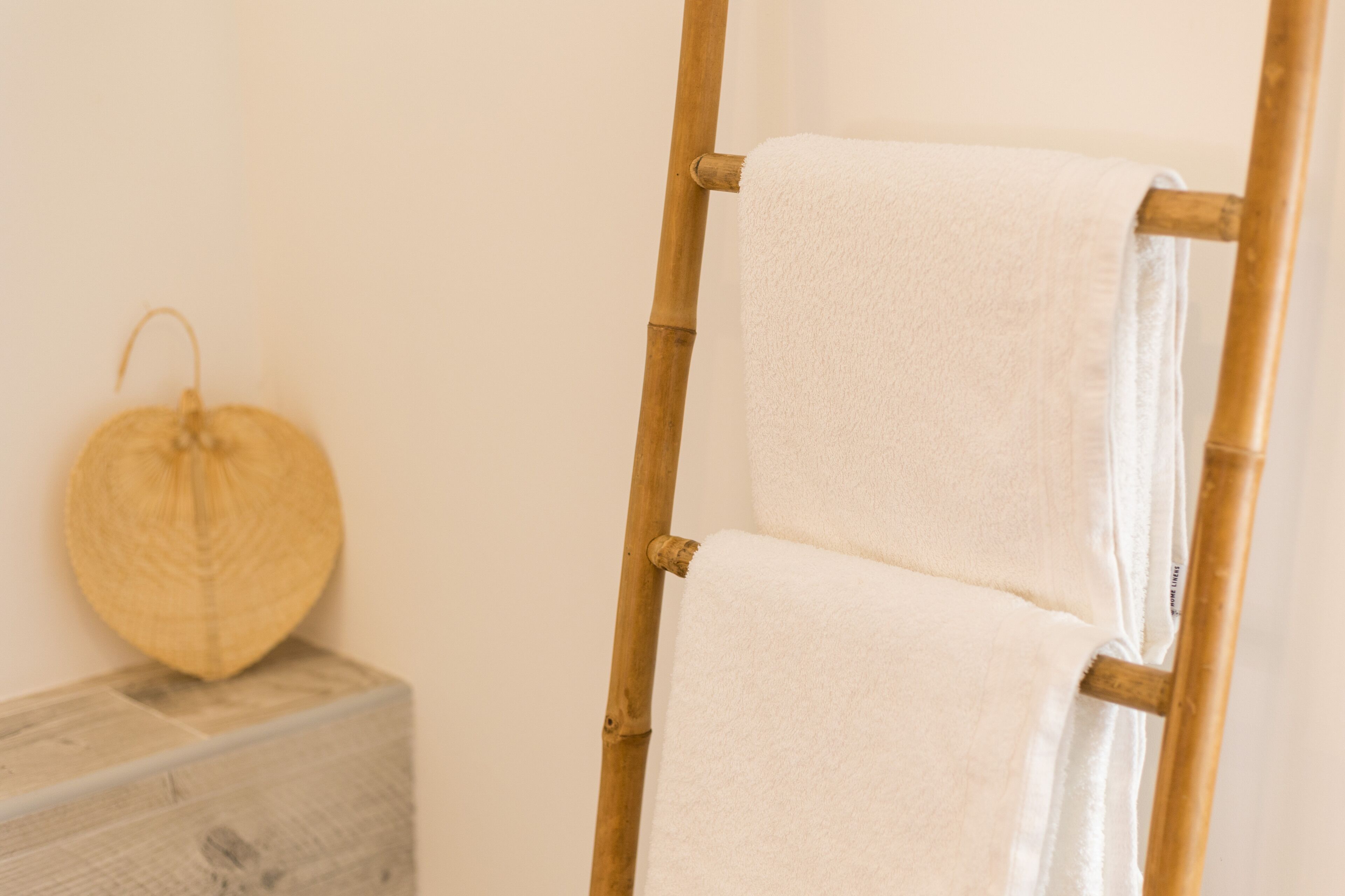 Foto - Pardela Menorca