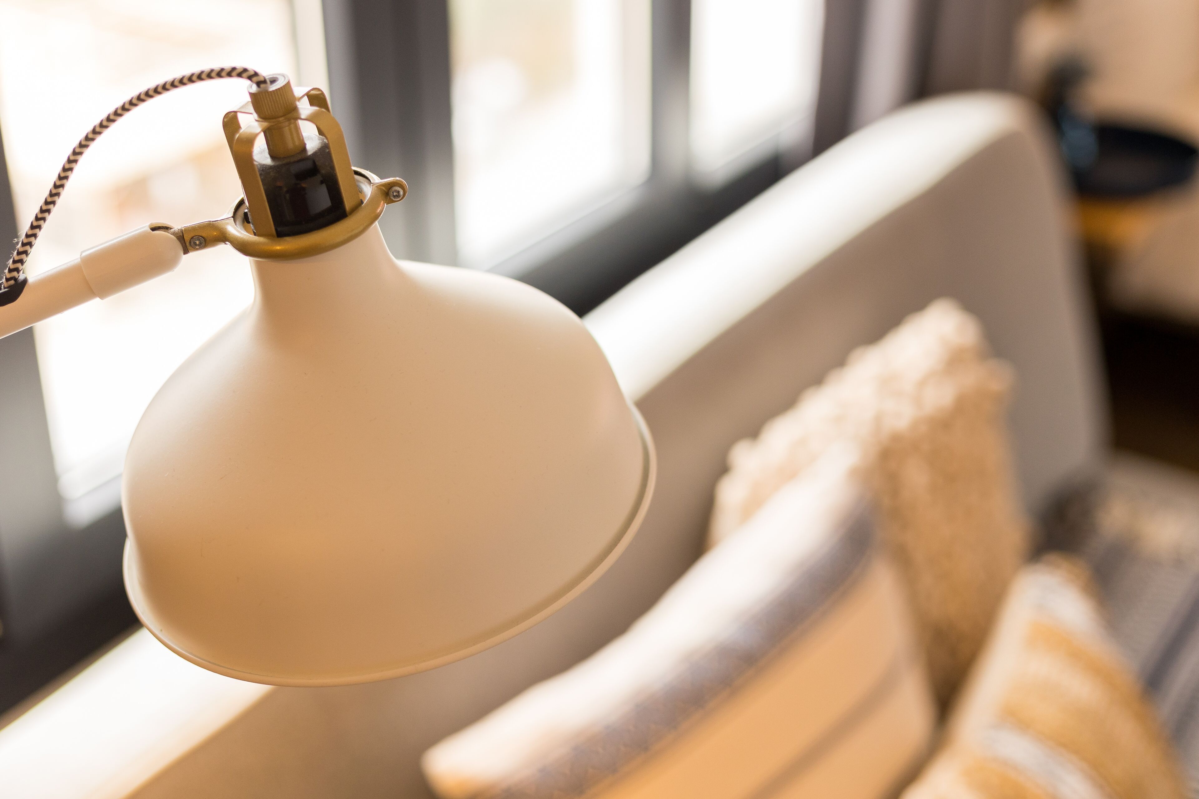 Foto - Pardela Menorca