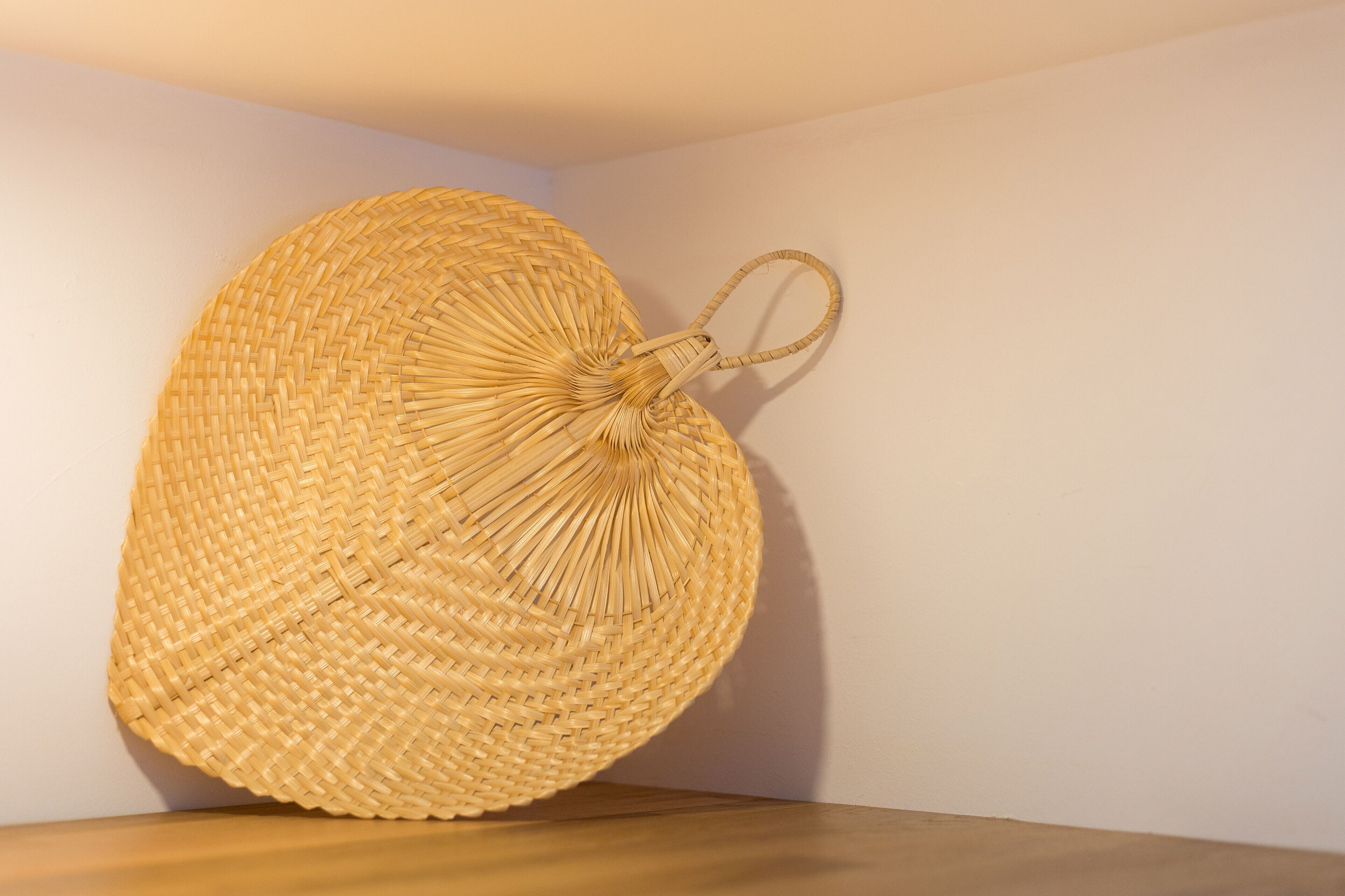 Foto - Pardela Menorca