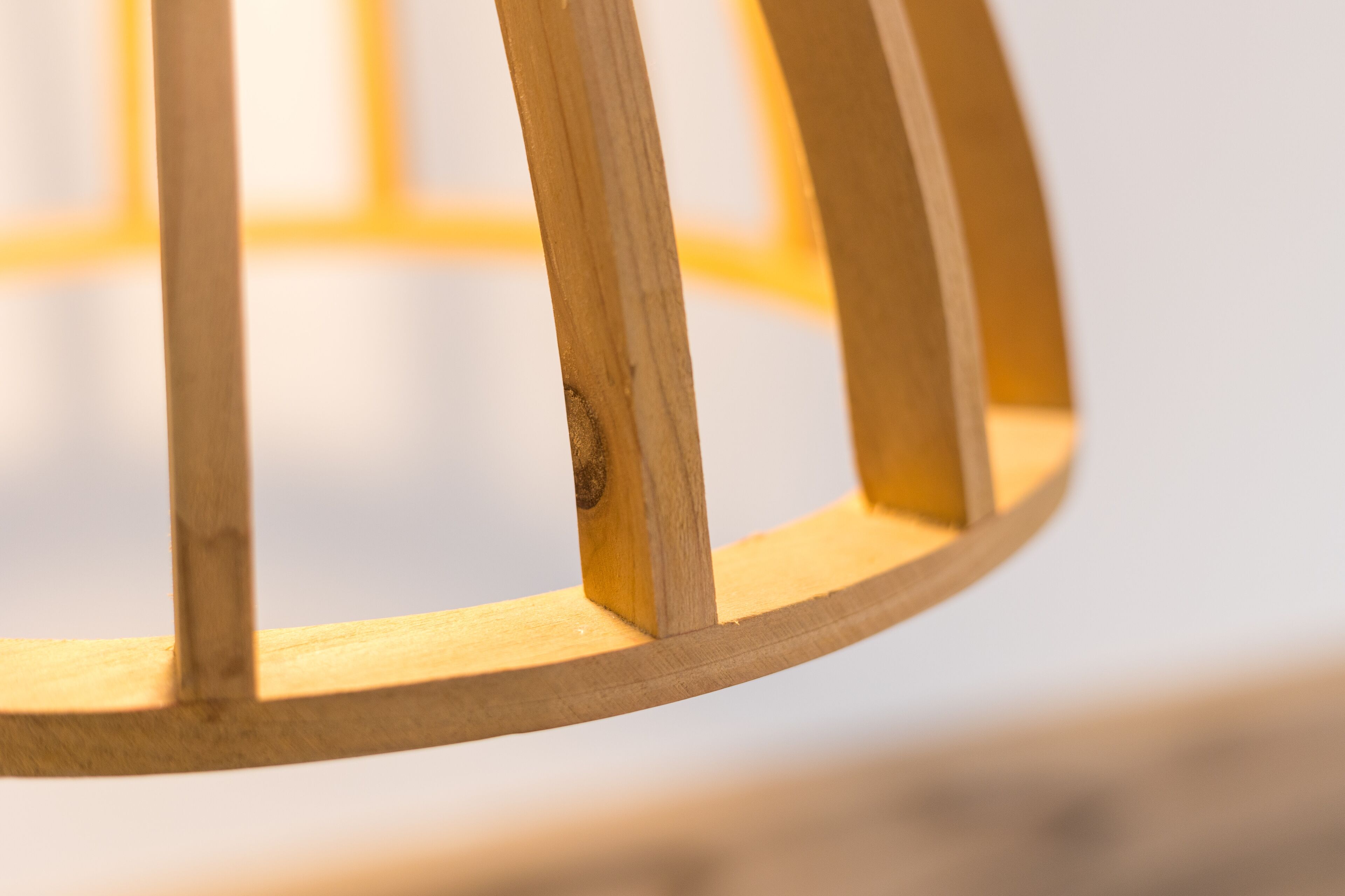 Foto - Pardela Menorca