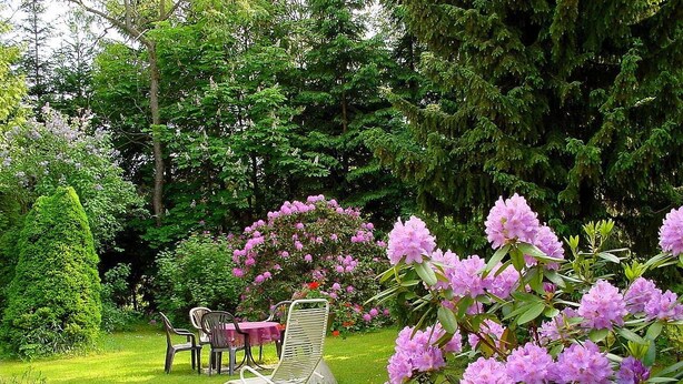 Un jardín con mesa y sillas, rodeado de exuberante follaje y plantas en flor.