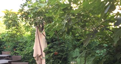 Vilele Liliana Mamaia Nord