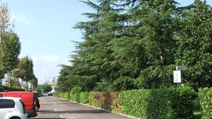 A street lined with trees and a red van parked on the side. -  TWO-ROOM APARTMENT SURROUNDED BY GREEN IN A QUIET RESIDENCE WITH POOL (Sirmione)