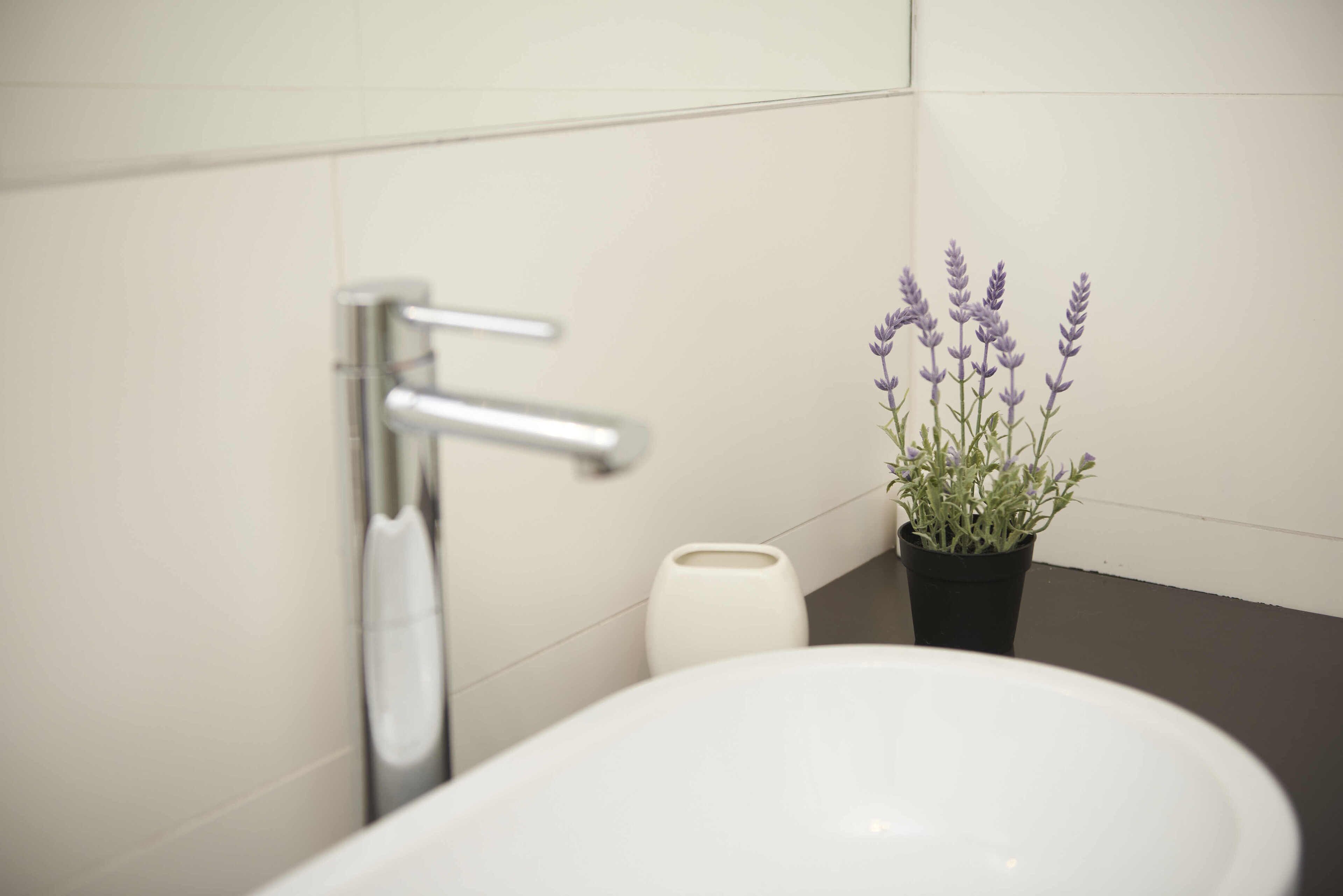 Ein Badezimmer mit einem weißen Waschbecken, einem modernen Wasserhahn und einem Topf mit Lavendel.