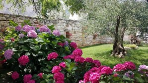 A garden with hydrangeas and a stone wall. - Villa Brumnic Apartments (Moscenicka Draga)