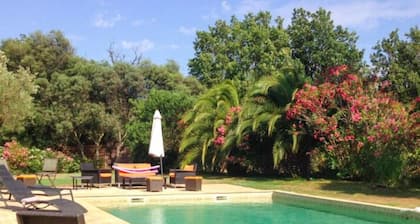 Riad des Vignes
