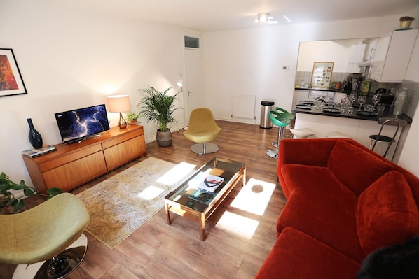 Flat-screen TV