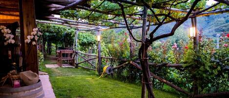 Área da propriedade