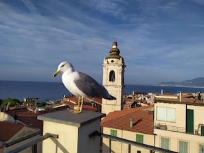 Exterior - B&B La Terrazza (Bordighera)