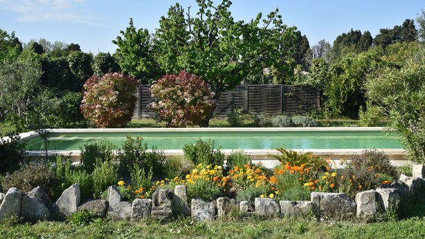 A swimming pool surrounded by a garden with various plants and flowers. - Vintage houseboat rider ... (Saint-Rémy-de-Provence)