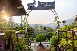 Se sirven desayunos y cocina internacional (con vistas al jardín) 