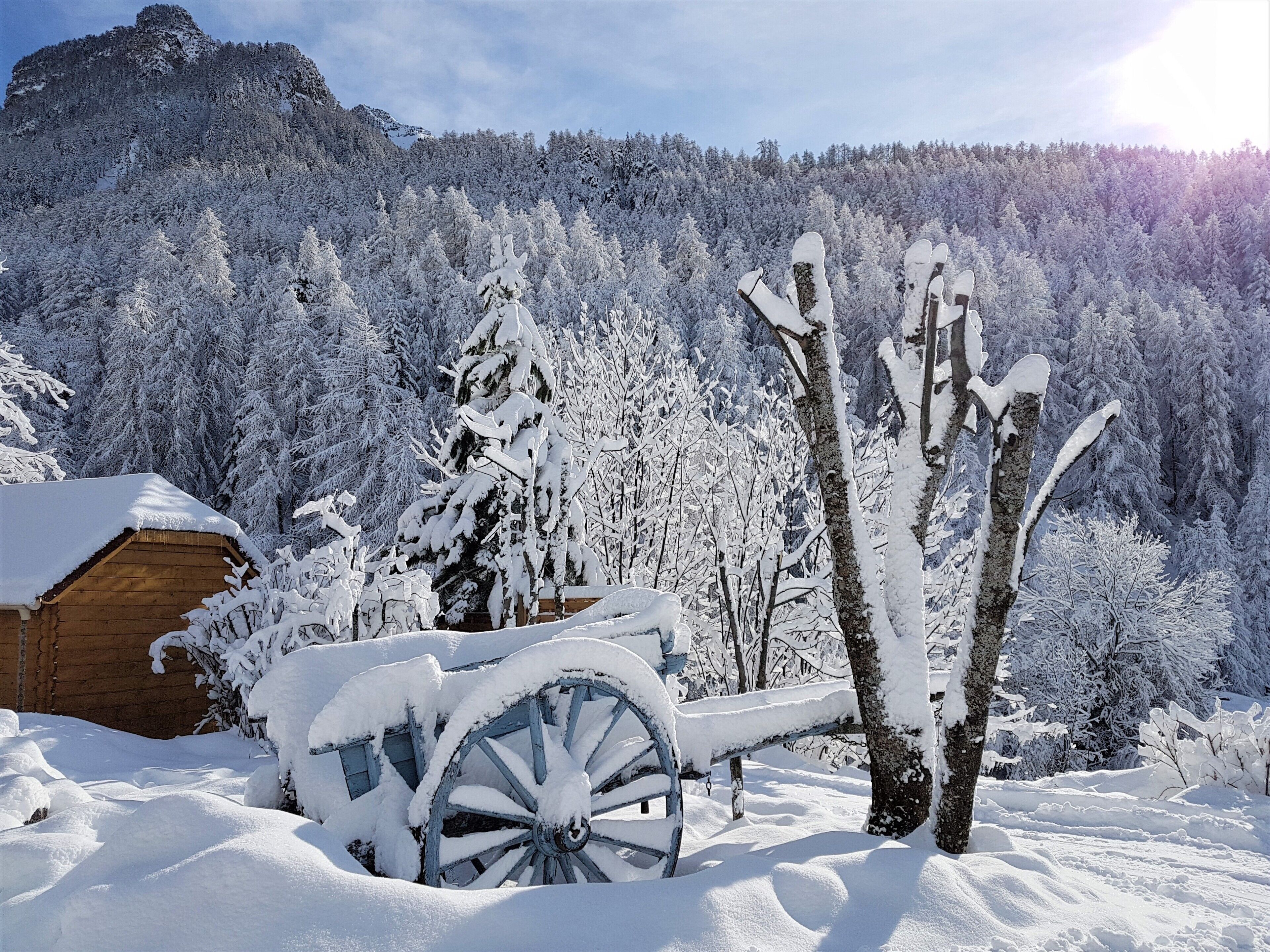 Une cabane en bois avec une charrette recouverte de neige, au cœur d’une forêt enneigée.