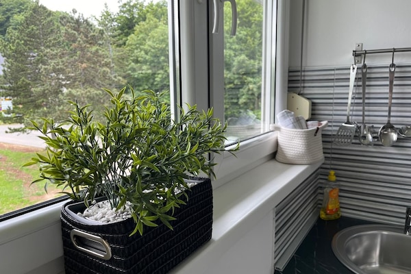 Deluxe Studio, Mountain View | Private kitchen | Coffee/tea maker