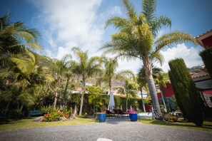 Property grounds - Quinta da Tia Briosa, Palheiro II (Ponta do Sol)