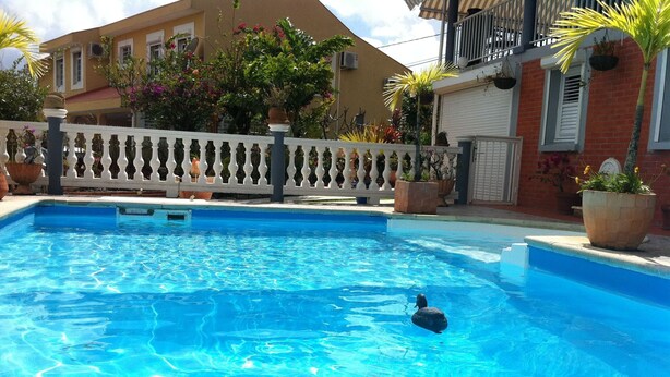 En swimmingpool med kristallklart blått vatten, omgiven av ett vitt staket och planterade blommor i krukor.