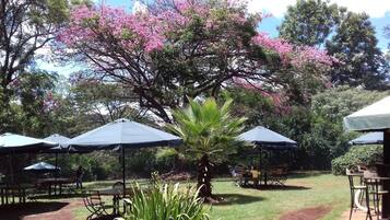 Breakfast and dinner served, local and international cuisine