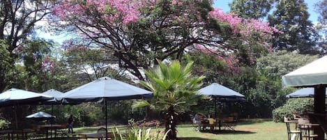 Breakfast and dinner served, local and international cuisine