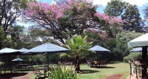 Frokost og middag serveres, lokale og internasjonale retter