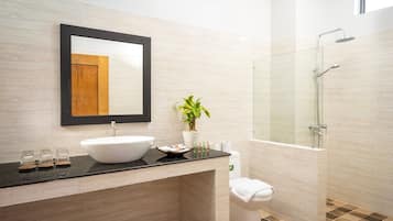 Hair dryer, bathrobes, slippers, towels