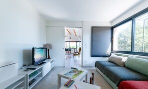 TV, fireplace, DVD player