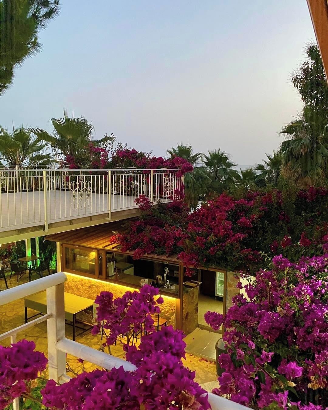 Une terrasse sur le toit, dotée d’une balustrade blanche, entourée d’une végétation luxuriante composée de bougainvilliers aux fleurs violettes et de palmiers.