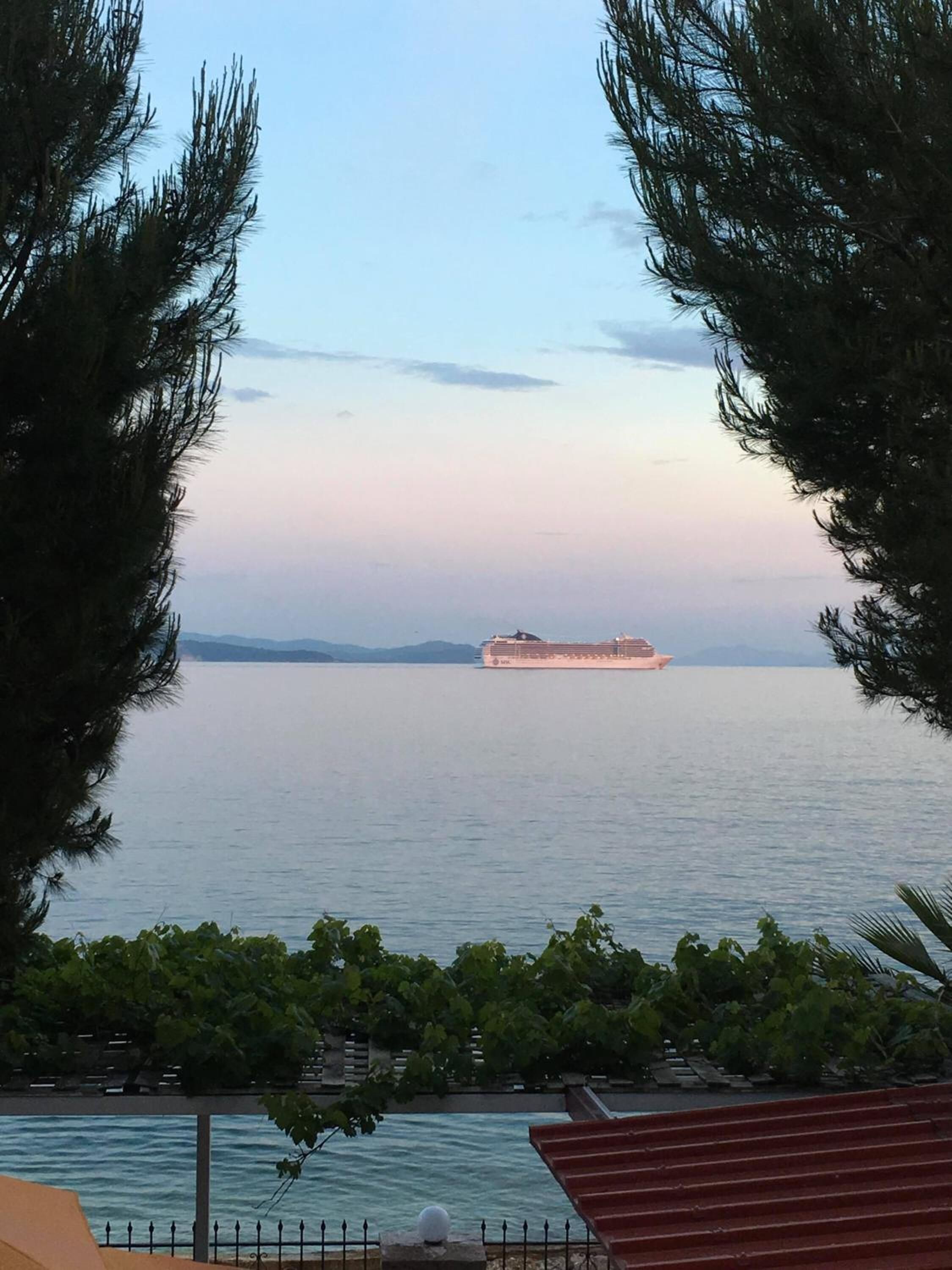 A cruise ship on a calm body of water, viewed from a balcony with trees framing the scene.