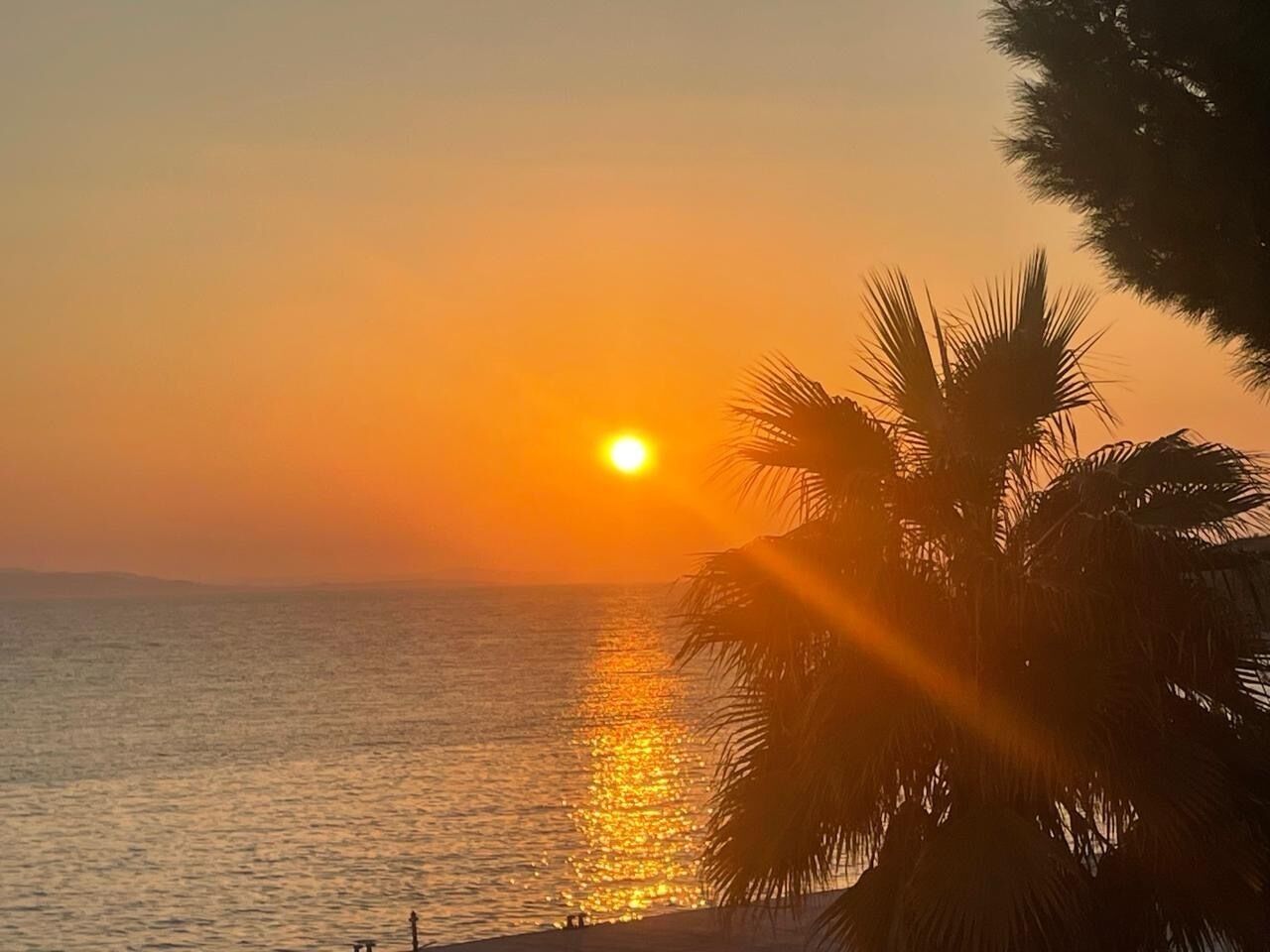 Solnedgang over vand med silhuetter af palmer mod himlen.