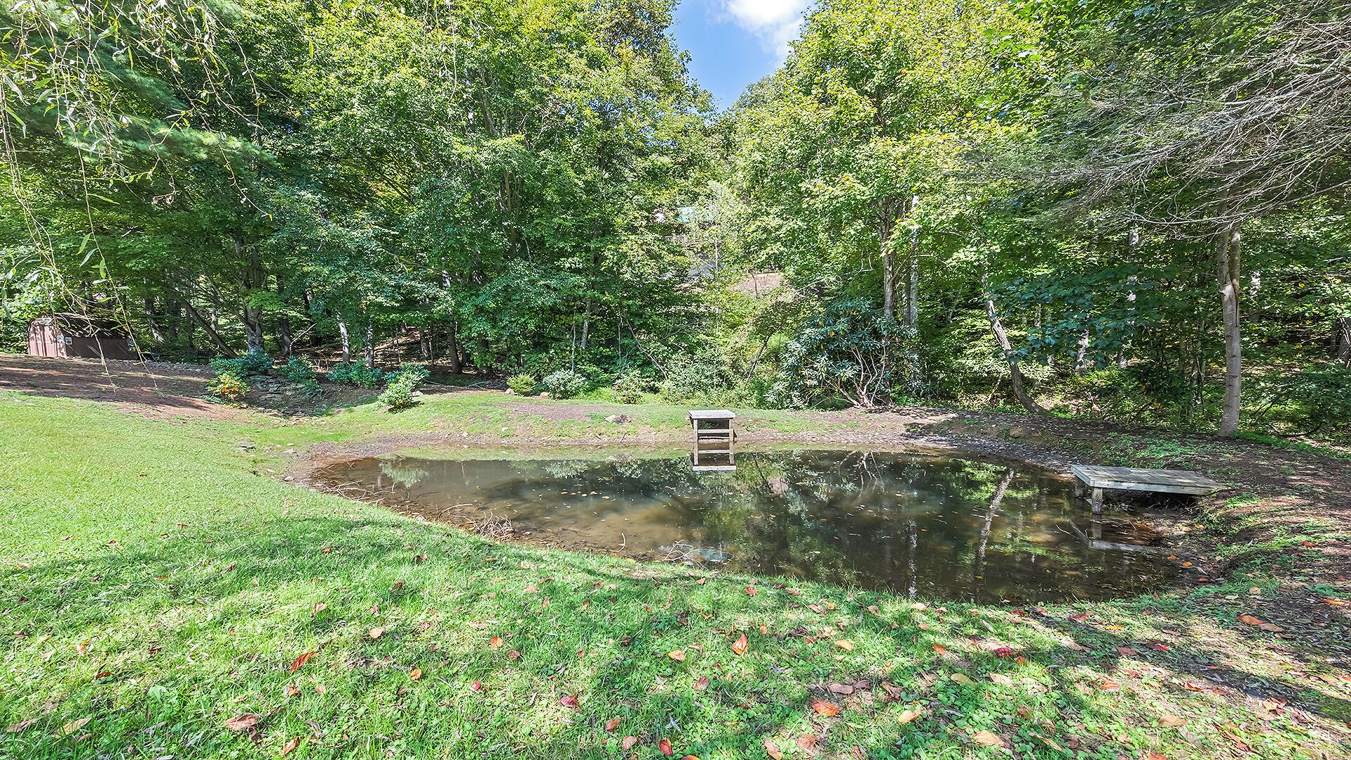 A pond with a wooden bench in a wooded area.