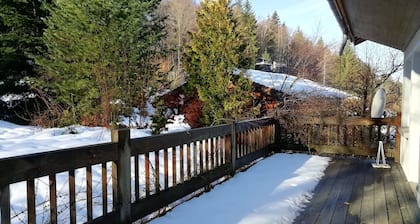 Comfortable family chalet