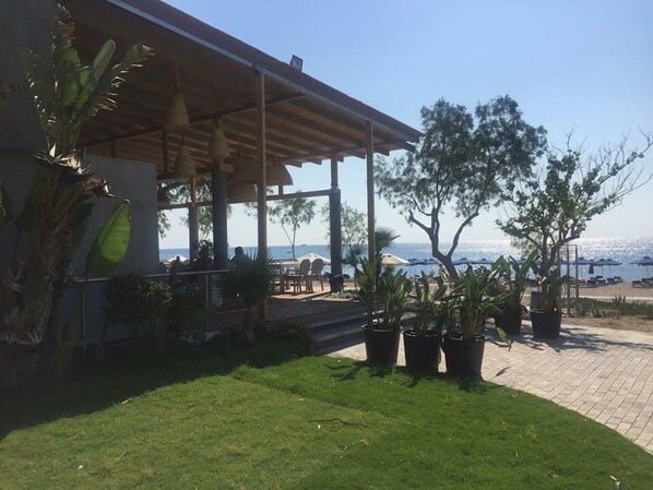 A covered outdoor seating area with tables and chairs, potted plants, and a view of the sea.