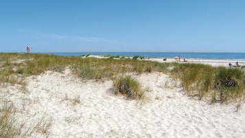 Playa en los alrededores y pesca