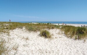 Una spiaggia nelle vicinanze, pesca