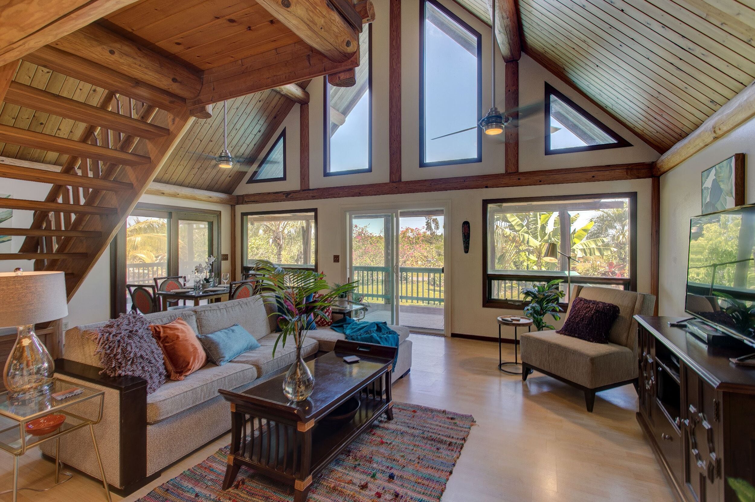 Smart TV, video games, DVD player, books