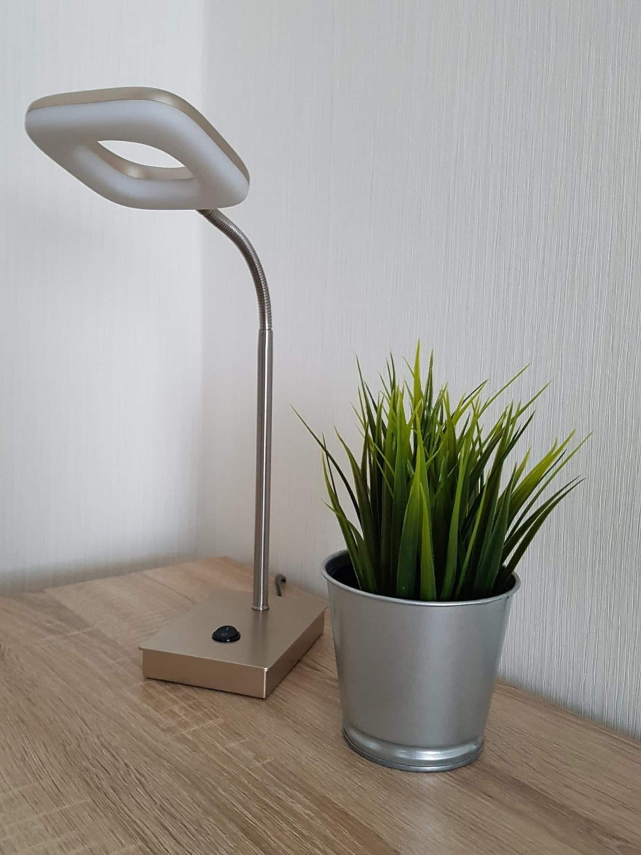 A desk lamp with a metallic finish and a potted plant with green leaves.